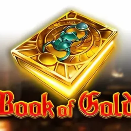 Guide on Playing Book of Gold at BDG Game