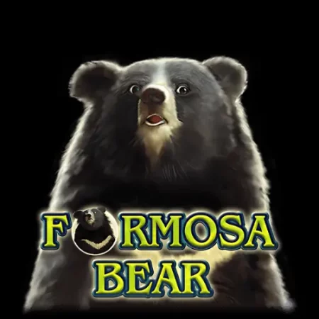 Review of Formosa Bear Slot Game | A Fun Adventure in the World of Online Slots